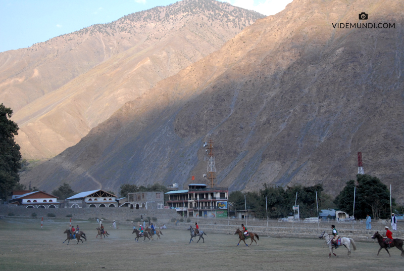 POLO chitral (1)