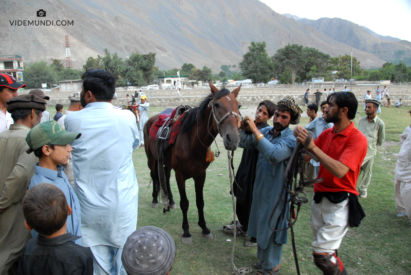 POLO chitral (6)