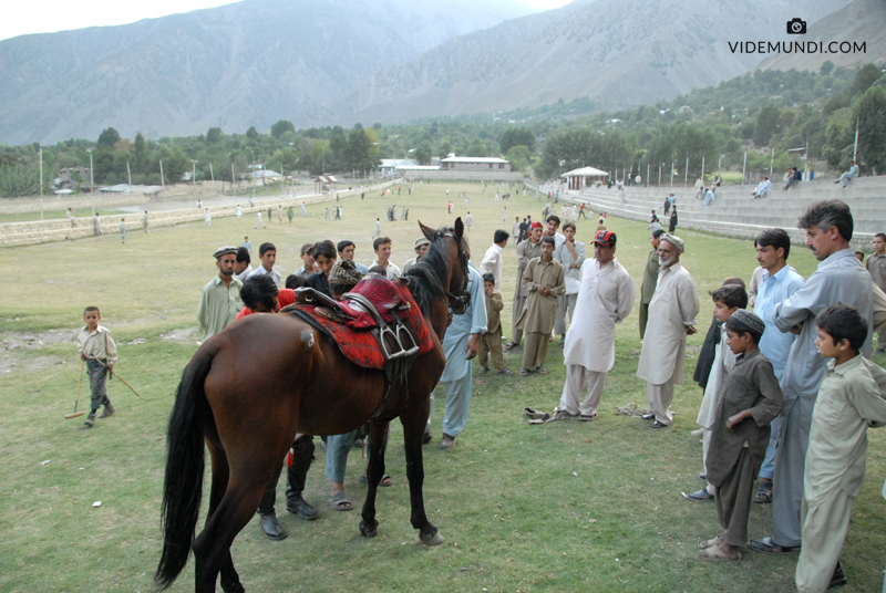 POLO chitral (7)