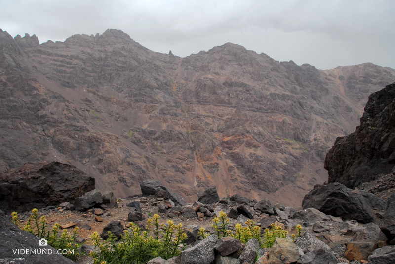 trekking jebel toubkal