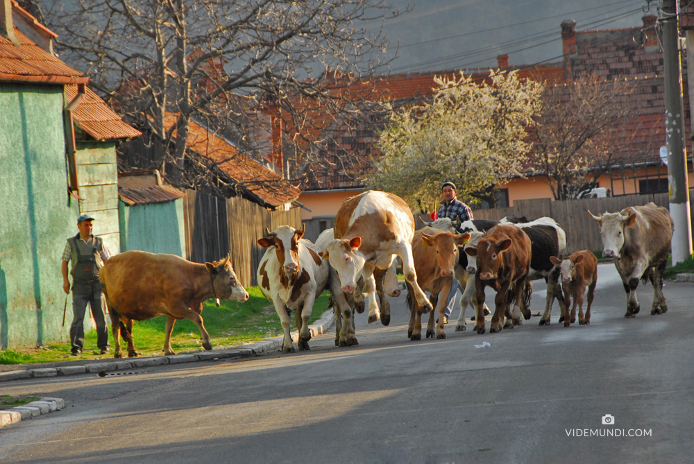 Transylvania by car