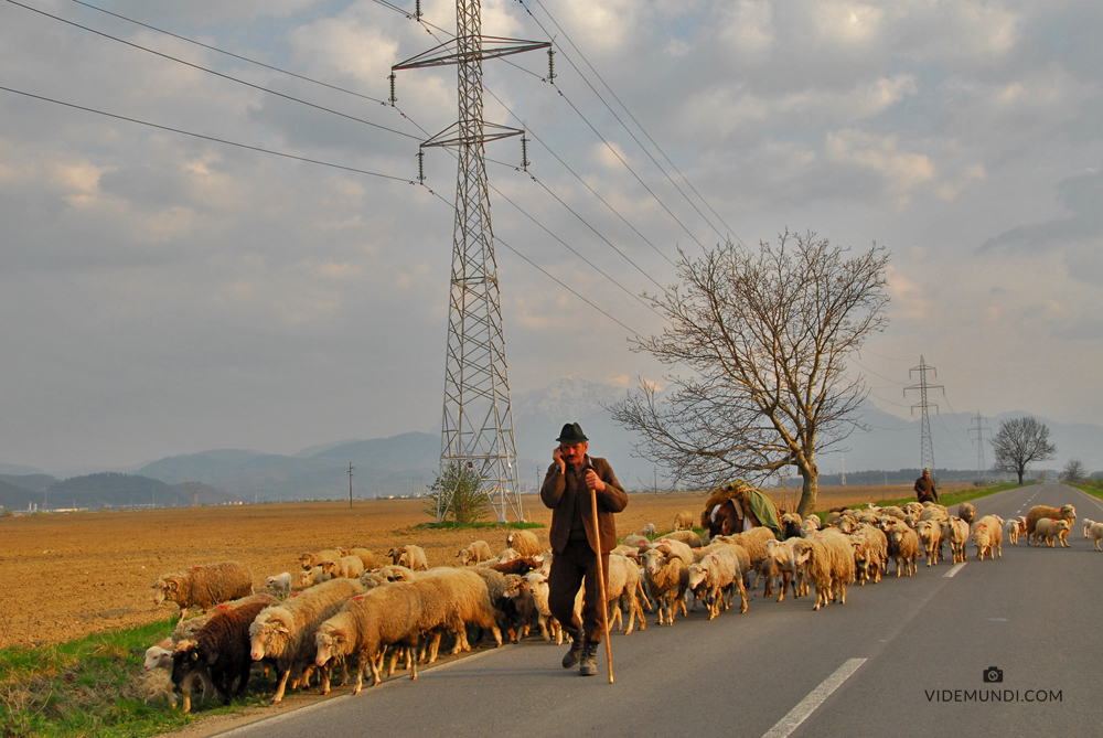 Transylvania by car