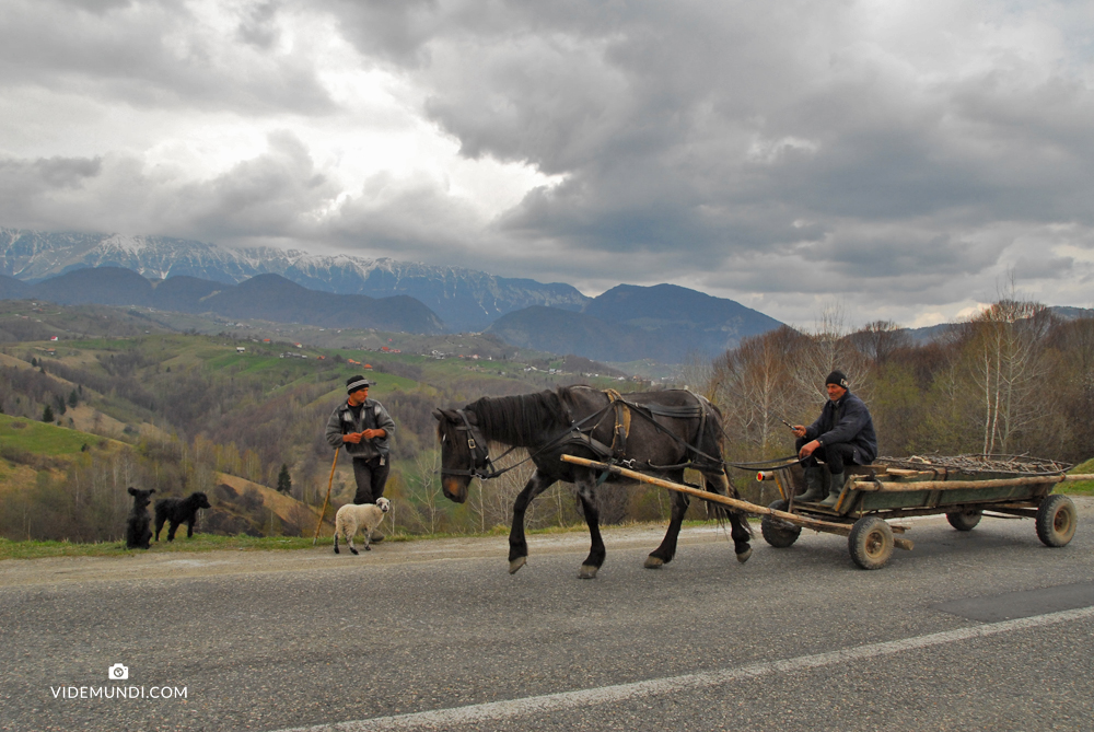 Transylvania by car