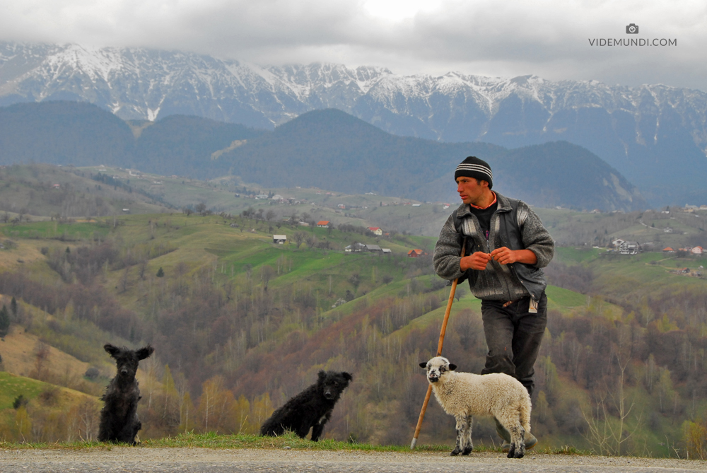 Transylvania by car 