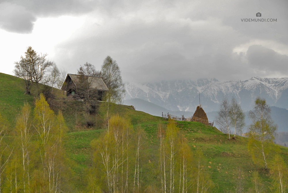 Transylvania by car 