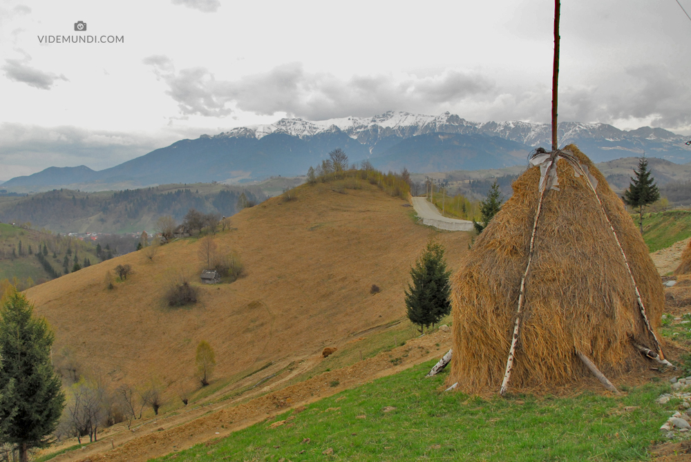 Transylvania by car 