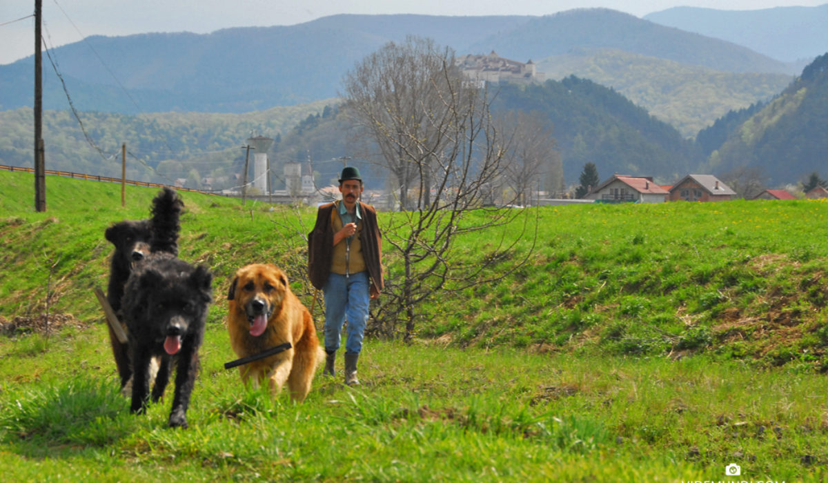 One week in Transylvania by car