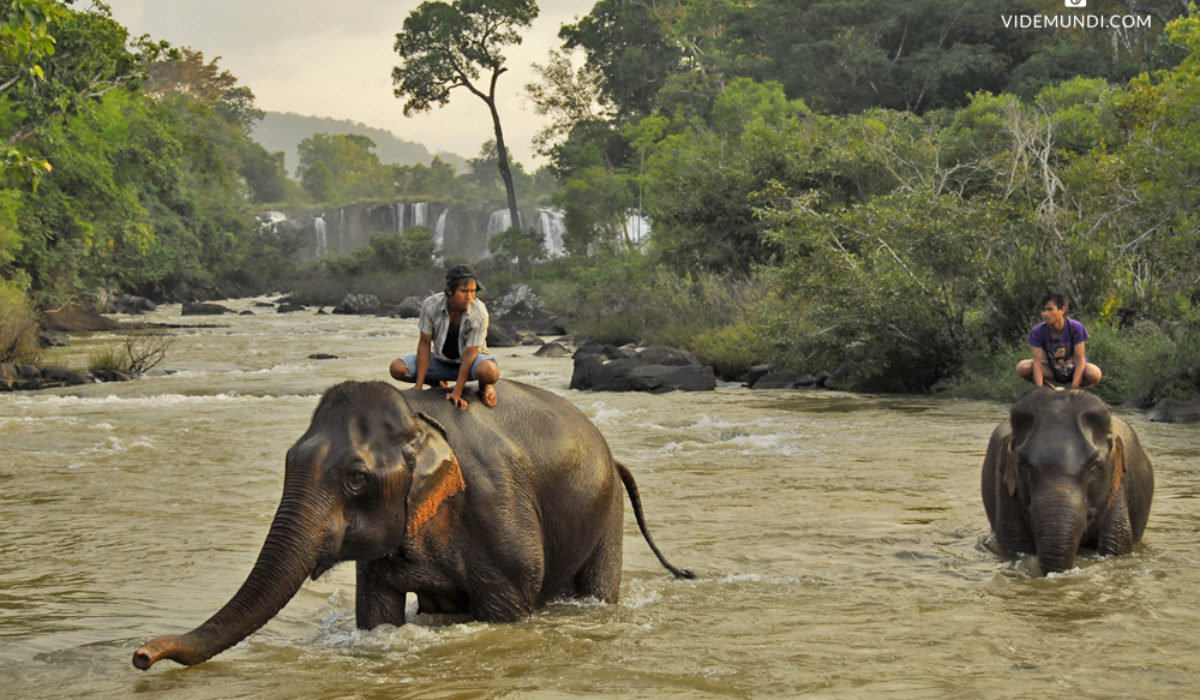 Bolaven Plateau one day motorbike trip