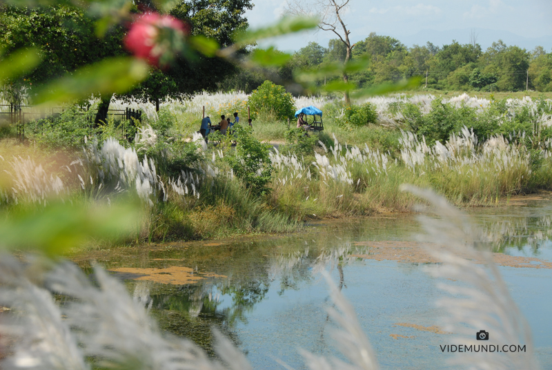 Lumbini where was Buddha born