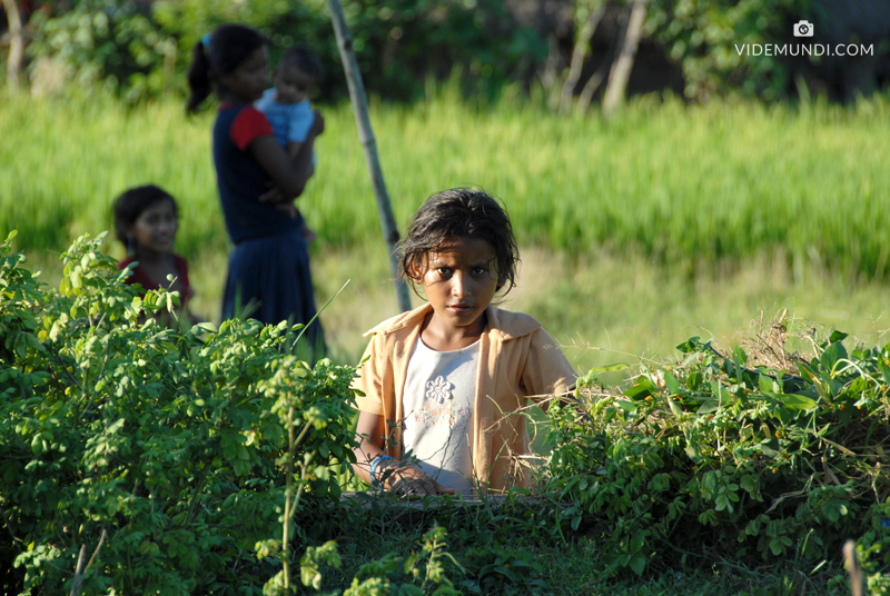 Terai Girl