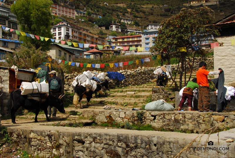 Namche Bazaar Saturday Market