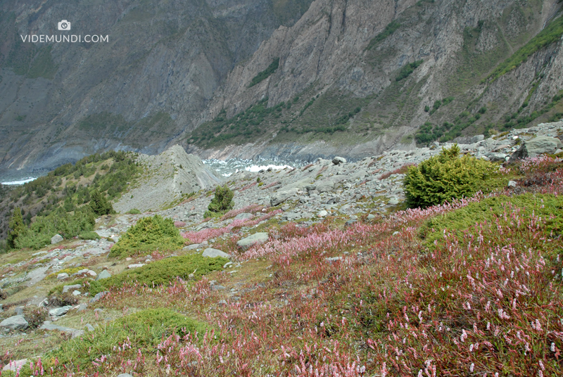 Rakaposhi trek